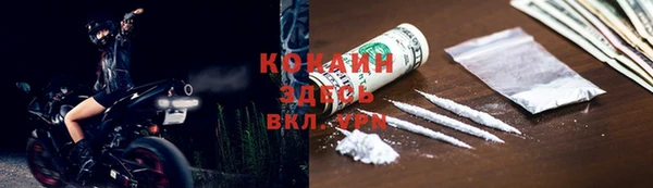 шишки Армянск
