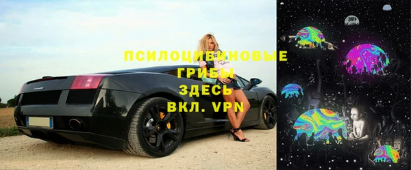 соль ск Снежногорск