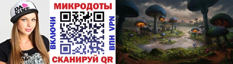 Галлюциногенные грибы Psilocybe  Пласт 